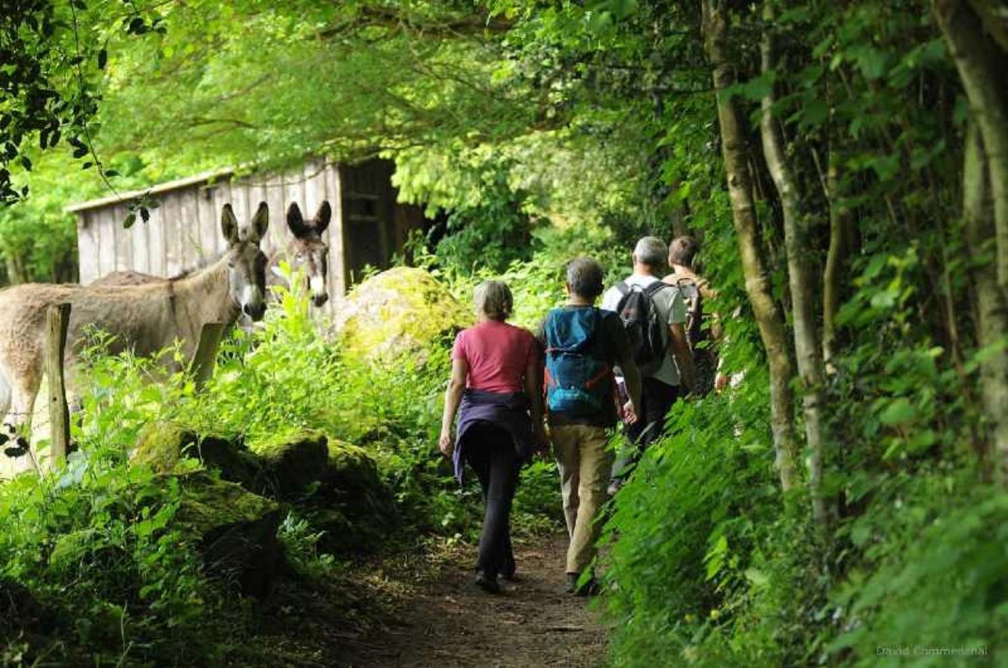 Gite De Fourneaux Pont-d'Ouilly Eksteriør bilde